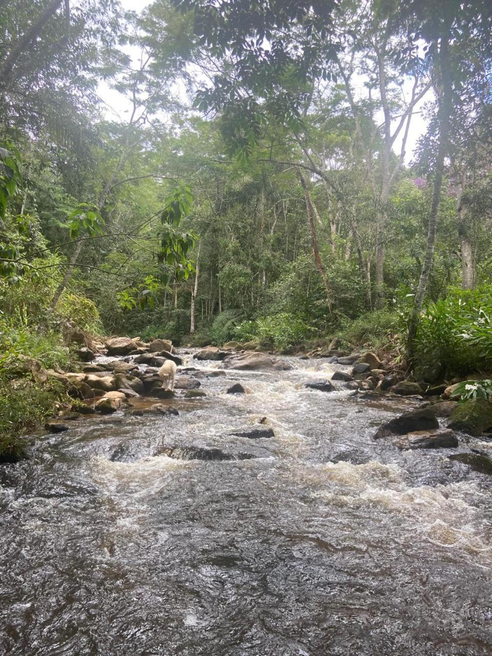 Pousada Rural E Pesqueiro Chale Da Serra Conceição da Ibitipoca Екстериор снимка