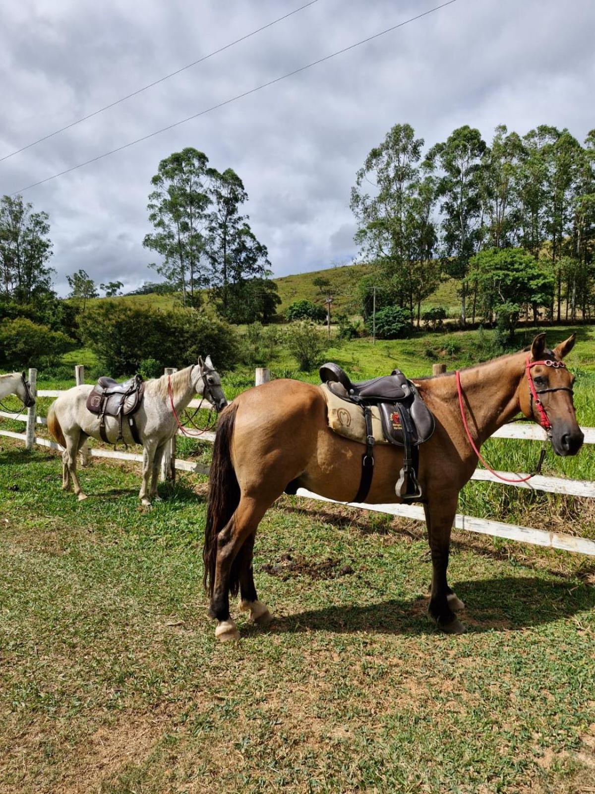 Pousada Rural E Pesqueiro Chale Da Serra Conceição da Ibitipoca Екстериор снимка
